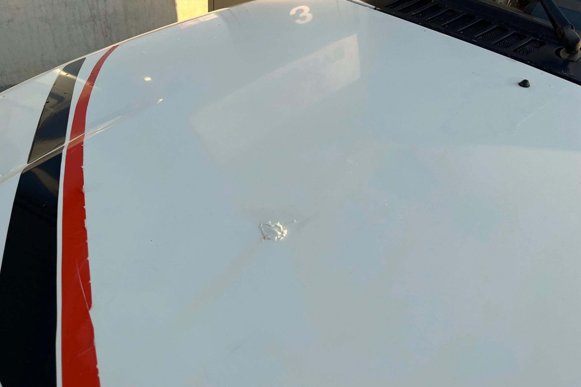 38434091-7.jpg